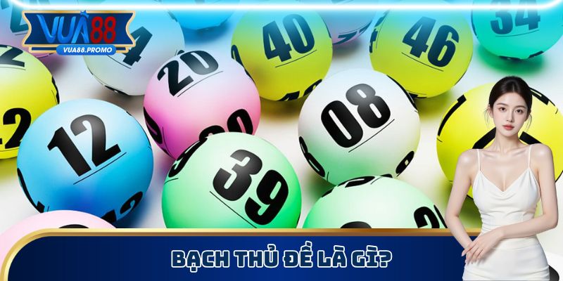 Bạch thủ lô là loại hình gì?