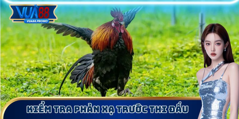 Kiểm tra sức khoẻ, phản xạ thật kỹ trước khi bắt đầu trận